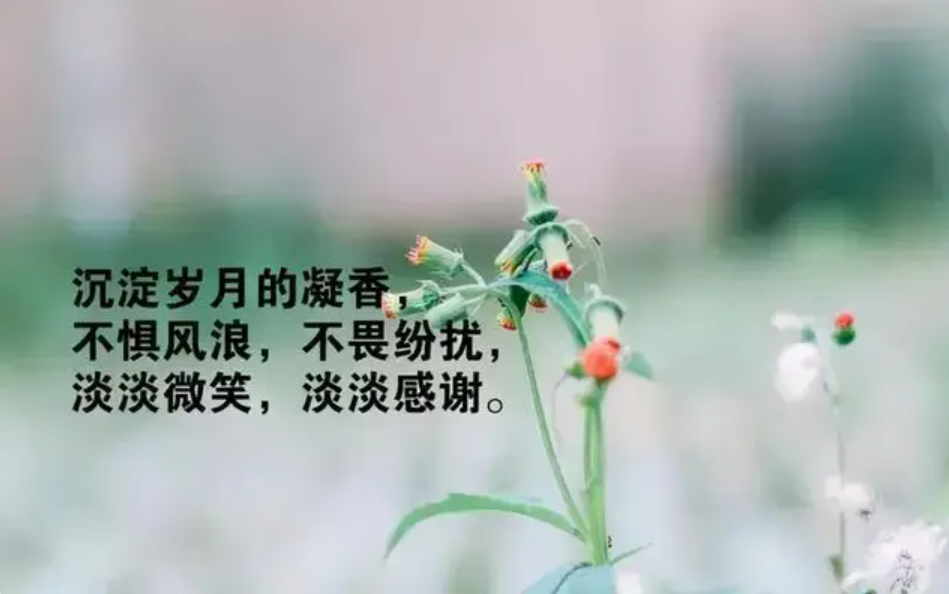 说说心情好的句子_心情好的说说_早上早起的幽默说说心情好