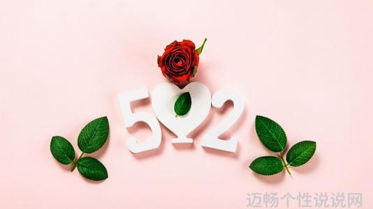 搞笑圈说说发朋友520的句子_520说说发朋友圈搞笑_520搞笑句子发朋友圈